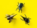 Top 10 Tools for Bug Bounty Hunting in 2025
