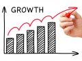 What are the Basic Levels of Organizational Growth?