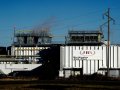 Some shifts canceled at U.S., Canada meat plants after JBS cyberattack