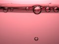 The Rise and Merging of Artificial Intelligence in the Company or organization
