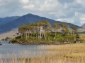 Lakes Are Losing Oxygen—and Their Inhabitants Are in Danger
