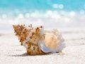 Go Virtual Filesystem — And a Shell Too, I Guess