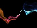 I Tried the Top Biology AI Solvers — Here’s What Worked Best