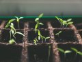 Laravel: Get a better Seeder for free