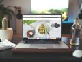 5 Reasons Why Web Development is a Great Career Choice