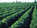 We can feed the world if we change our ways