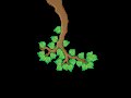Branching Out: A Guide to Renaming Local Git Branches