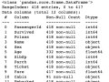 Mastering Pandas DataFrames for Machine Learning