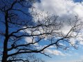 iOS Interviews 29: In-Depth Guide to Git and Branching for Large Teams