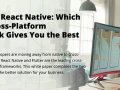 Flutter vs. React Native: Maximizing ROI in Cross-Platform Mobile Development