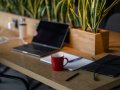 I Automated My Job to Save Time — and Found Myself Wondering What to Do With It