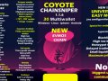 How to get and use your first Bot in the Crypto-world: Chainsniper Coyote Bot — Tutorial For Beginners