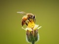 Dependency Injection in JavaScript
