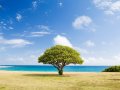 Top Five Most Asked Binary Tree Interview Questions at Meta