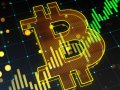 Bitcoin price hits record $69K after SEC approvals fueled $7B in investments