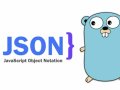Advanced Go JSON: ALL You Need To Use encoding/json Effectively