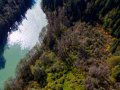 Pacific Northwest’s ‘forest gardens’ were deliberately planted by Indigenous people