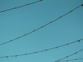 Intro to Simple Linear Regression in Python
