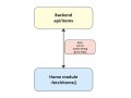 How to handle multiple APIs in Swift | Build testable and reusable code