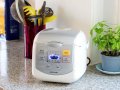 Lakeland Mini Multi Cooker 1.8L review