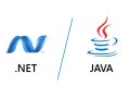 .NET vs Java: Who will dominate in future?