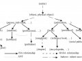 Document Similarity with Synset and Path Similarity