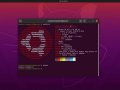 Top 10 Linux Distro you must try