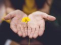 SQL Joins: Inner vs. Outer Joins (with Practical Examples)