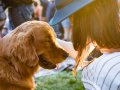 Introduction to GraphQL Schemas and Types