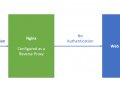 Adding Basic Authentication with Nginx as a reverse proxy