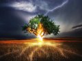 Building a Neural Network on Amazon SageMaker with PyTorch Lightning