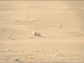 Perseverance Spies The First “Cat” On Mars