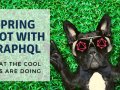 Spring Boot With GraphQL: What The Cool Kids Are Doing