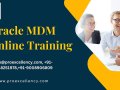 Best Oracle MDM Online Training in Bangalore