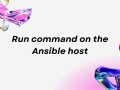 Run command on the Ansible host