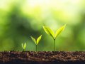 Lessons I learned as a Junior Software Developer