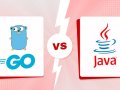 How Go’s Built-in Tooling Beats Java’s Complex Ecosystem