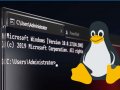 How to set up Linux on Windows with WSL 2