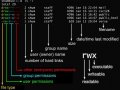 DevOps for Node.js Engineers: Linux Users and Groups