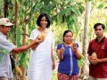 Pipiltin Cocoa: Dari Biji Kakao Menjadi Kebahagiaan✨