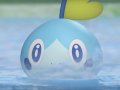 Pokémon fans want to protect Sobble at all costs