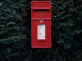 Mengenal Lebih Dekat Postman: Platform API untuk Developer yang Super Handy!
