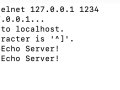 Just for fun. Make a TCP Echo server with Rust