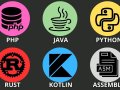 Which Programming Language is Best for High Paying Jobs?