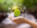 The Future of Clean Energy: A Comprehensive Look at the Latest Innovations and Trends