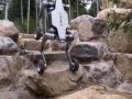 China’s Advanced AI Robots: A Glimpse into the Future of Robotics