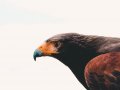 How I Stayed Focused While Learning To Code