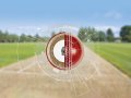 Using Selenium and Web Scraping to Get Cricket Scores on WhatsApp!