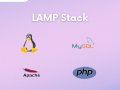 LAMP Stack: Backbone of Modern Web Development