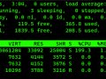 The Mystery Behind JDK 21 faketime Exercise Overloading CPU